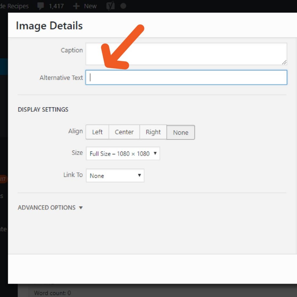 WordPress Alternative Text
