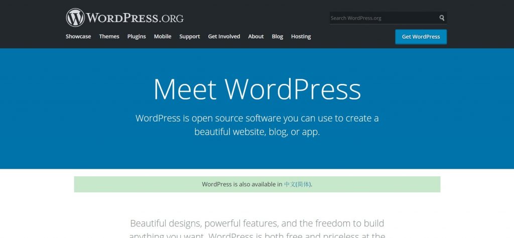 WordPress Website